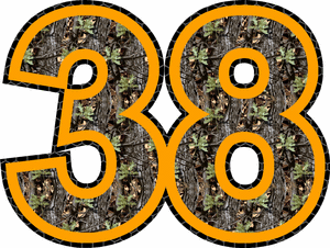 38